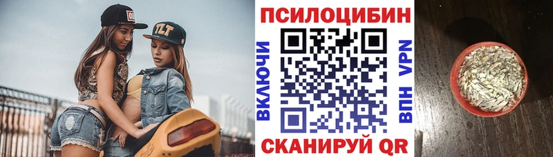 Галлюциногенные грибы Psilocybe  Купить где  Усолье-Сибирское 